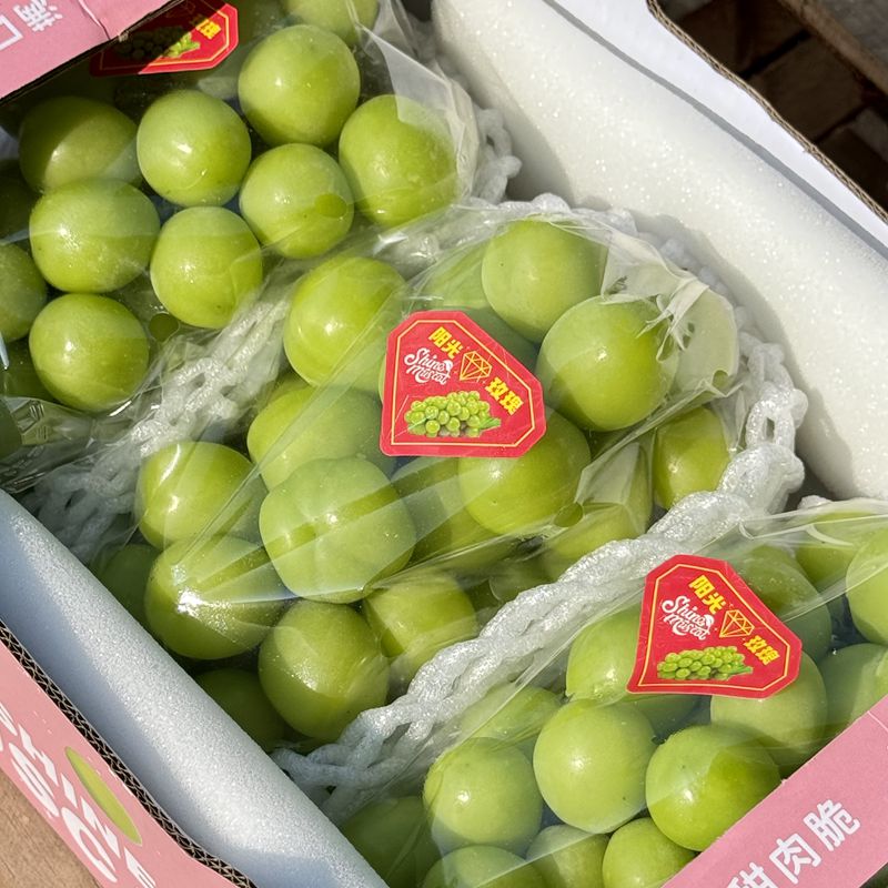 云南宾川阳光玫瑰葡萄新鲜当季无籽青提顺丰北京发
