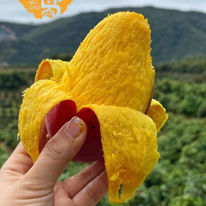 海南三亚贵妃芒果新鲜水果4斤树上熟彩虹芒整箱礼盒装北京发顺丰