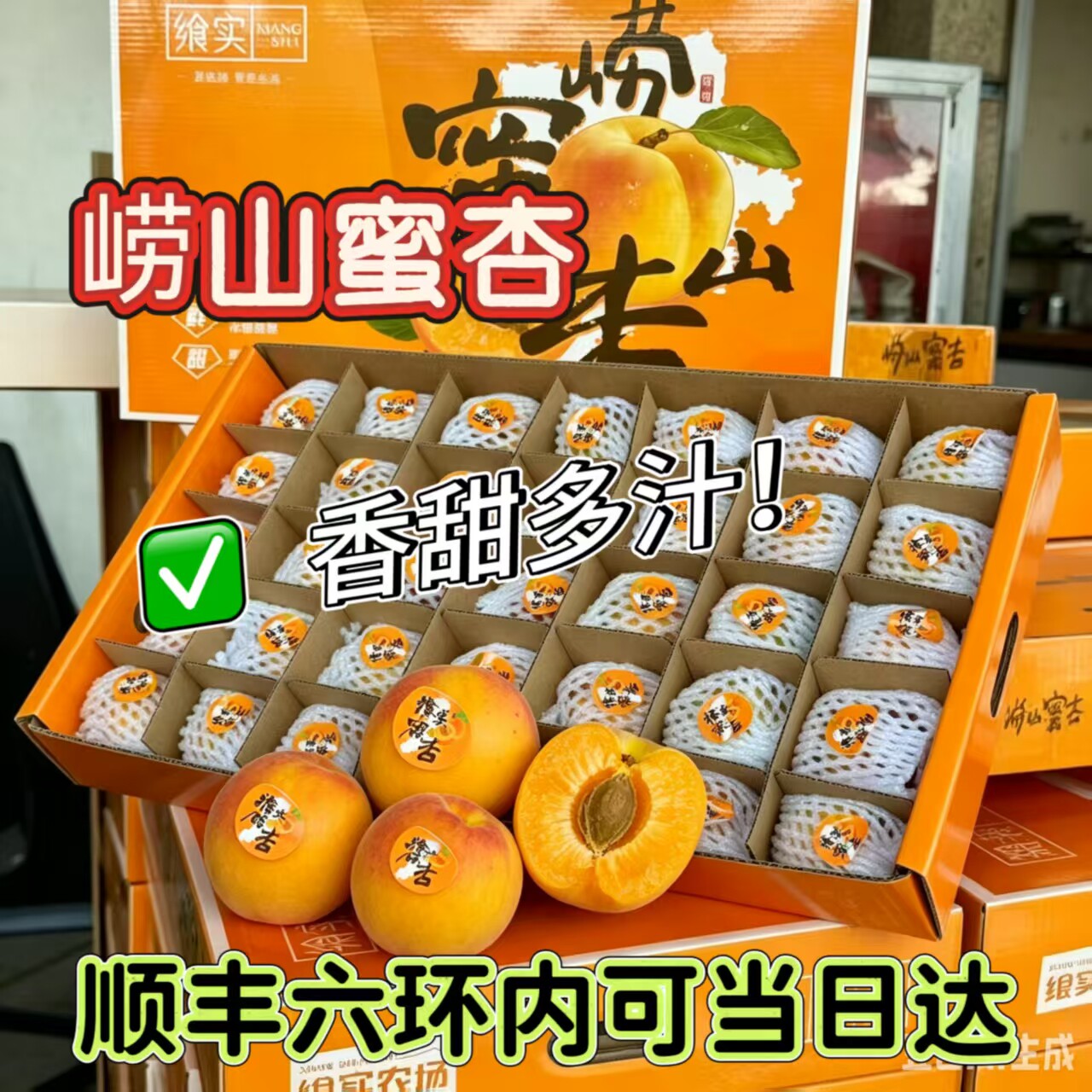 山东青岛崂山蜜杏新鲜当季黄杏水果杏子礼盒顺丰北京发