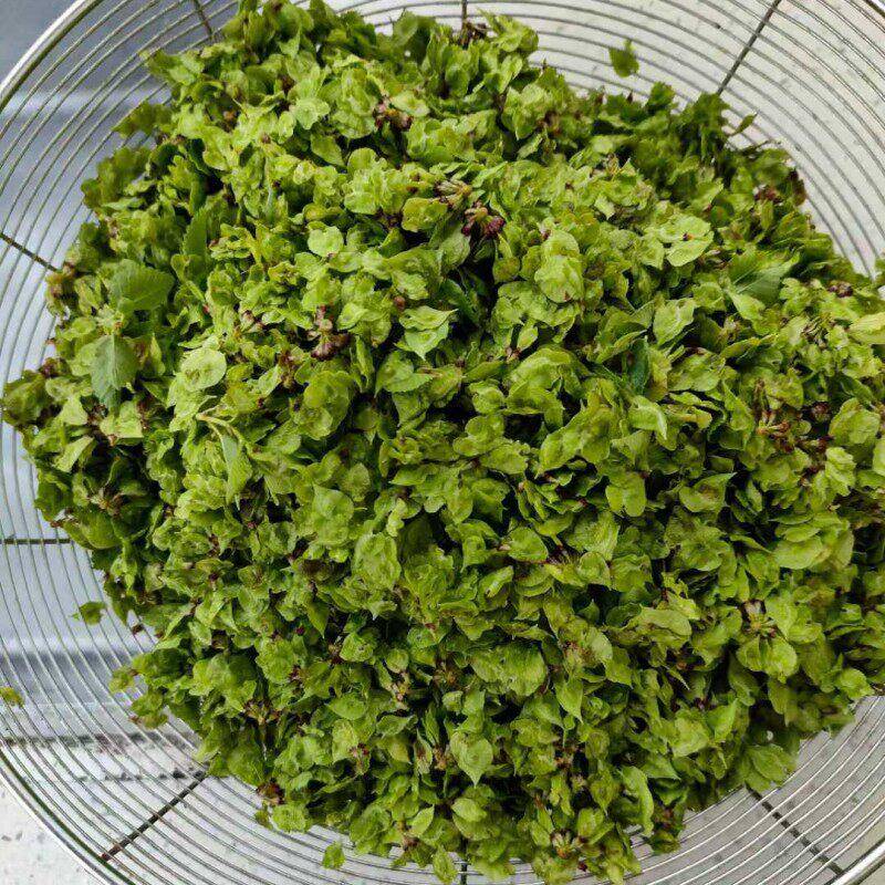 冻菜榆钱子冻槐花粘玉米粉碎机 河草处理粉碎设备 有机生产线