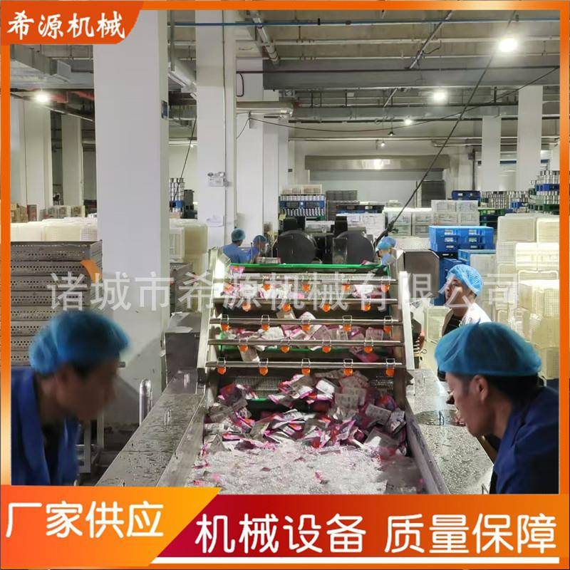 商用果蔬气泡清洗机 小龙虾喷淋式清洗设备 辣椒韭菜苹果清洗机