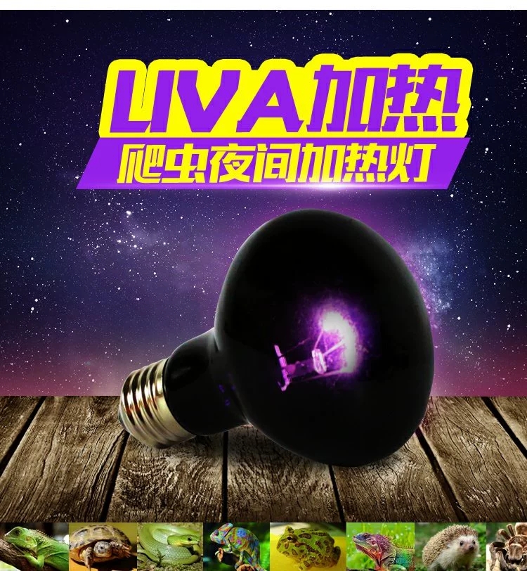 爬虫箱加热灯uva夜灯陆龟蜥蜴鬃狮蛇灯25W/40w/50w/60W/75w/100W