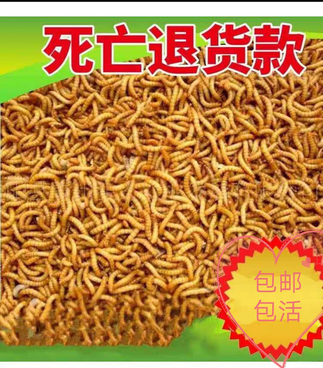 面包虫活体黄粉虫活虫鹦鹉鱼金龙爬虫/鸣虫食物