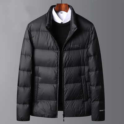 2025冬季新款巨好看的冬装羽绒服简约防寒保暖立领轻薄羽绒衣男款