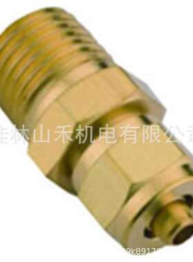 中国台湾兴力股份(SIN LING)尼龙管外牙接头N03-C1006；N03-C1010