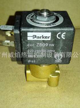 【实物】ZB09利雅路RL100燃油电磁阀3012002意大利利雅路Riello