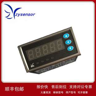 电压 电流脉冲输出议价 讯号显示器DPM01升级为DPM02 台湾EYC