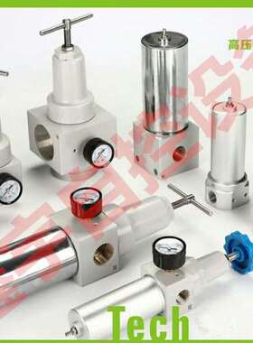 QSLH-25 QSLH-20 DN20 G3/4 高压压缩空气过滤器 高压过滤器