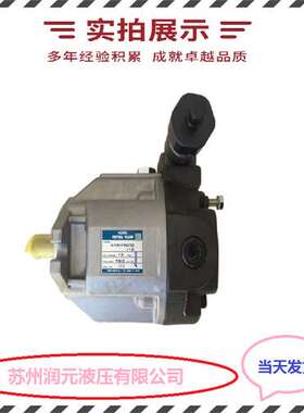 力士乐柱塞泵A4VG125EP4D2/32L-NZF02F022S 质量好 快速发货