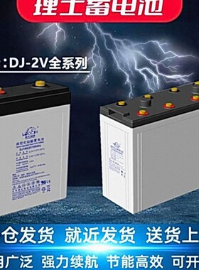 LEOCH理士蓄电池 DJ1000 直流屏UPS电源阀控免维护铅酸 2V1000AH