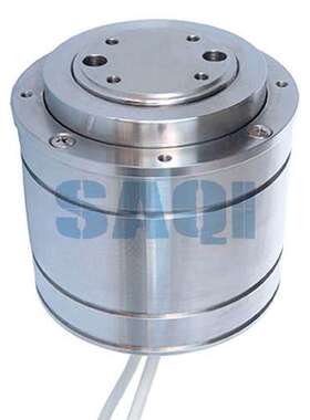 Lorenz 传感器 102263 D-DR2112/M320-G21 20N