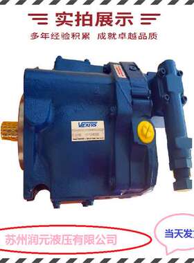 法国HPI齿轮泵P1CBN3080HL20C04N 性能强 快速发货