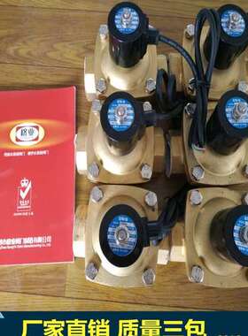 XSDF-500-502寸喷泉电磁阀DN50 AC220V防水专用潜水快速开闭电