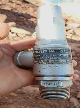 ANGUS安格斯FGX-SSS安全阀NCD S3W SV-B27SV-B29 SS317台湾318SnW
