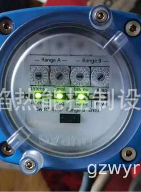 【实物】D-LX 110 xx-x-x-xx-84 Ex-xxx火焰检测器德国杜拉格DURA