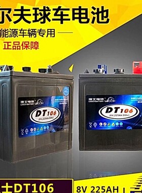 理士电池DT106 6V225AH电动汽车观光车高尔夫球车扫地车动力电瓶