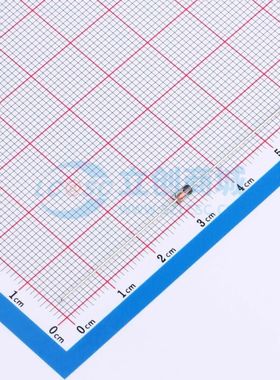 BZX55C62PF 稳压二极管 DO-35 BZX55C62PF