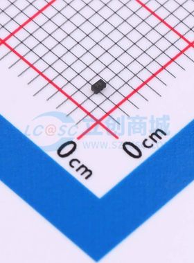 HGG040205100N2P 静电和浪涌保护(TVS/ESD) DFN1006-2L HGG040205