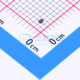 DFN SBR0240LPW 肖特基二极管 0.6x1