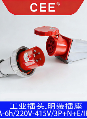 CEE-135 63A/5孔明装固定式插座415V/IP67电源箱插头TYP-035