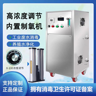 50g100g高浓度臭氧发生器水处理氧气源臭氧消毒机实验室污水脱色