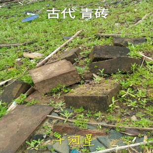 千河星青砖头古代建筑古砖福建旅游景区收藏古玩古董孤品历史文化