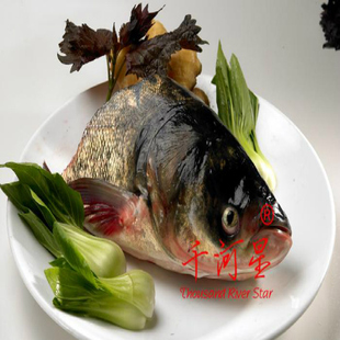 山河星泉水鱼头花黑鲢鳙鱼大头鱼胖头鱼九龙湖河鱼新鲜闽三明清流