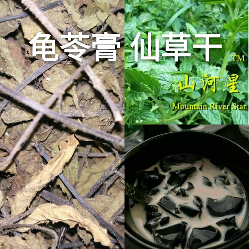 龟苓膏仙人粄高胶质仙草干客家仙草冻仙人草烧仙草凉粉草原料凉茶