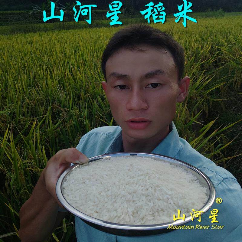 山河星香米水稻长大米农场晶两优软米糙米白米丝苗米水稻米汕米稻