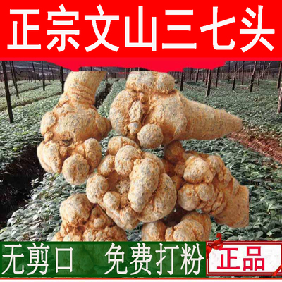三七云南文山正品田七头春七20