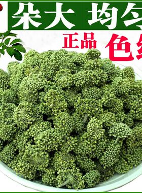 新花三七花云南文山四年花