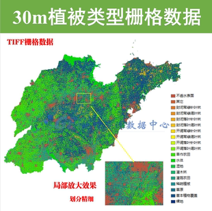 中国30m分辨率植被覆盖类型分布栅格数据Arcgis2020年植被类型