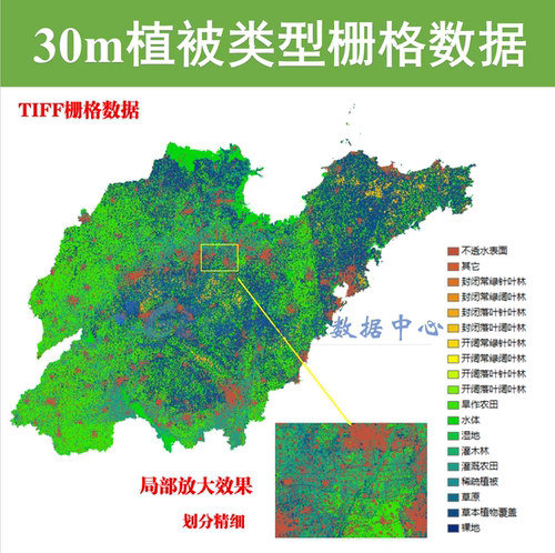 中国30m分辨率植被覆盖类型分布栅格数据Arcgis2020年植被类型