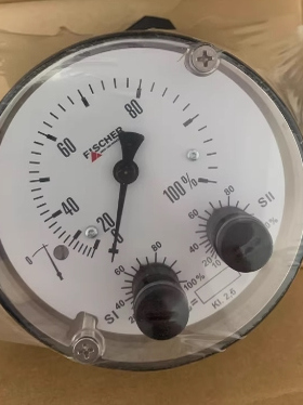 Fischer流量开关 DS1102VDYYBKYY00D0544