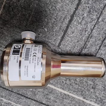 德国LAMTEC蓝姆泰克火焰检测器F200K型号MH48669