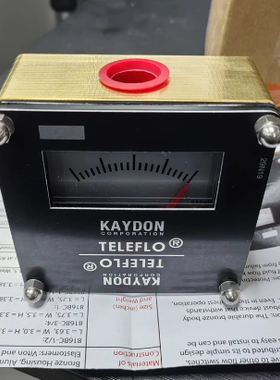 KAYDON TELEFLO流量计 51B06