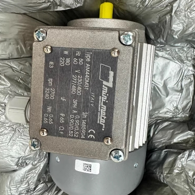 意大利minimotor电机 AM440M3T