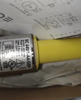 德国原装进口 EGE 流量计 SC440/1-A4-GSP P10523