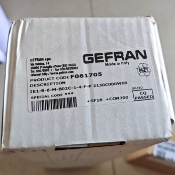 GEFRAN杰佛伦传感器 意大利 IE1-S-6-M-B02C-1-4-F-P 2130C000W00