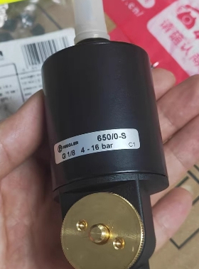 德国RIEGLER 101602 (65/0-S) 阀门