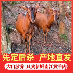 四川正宗散养南江黄羊肉带皮羊腿羊排羊腩羊脖蝎杂新鲜生羊肉5斤