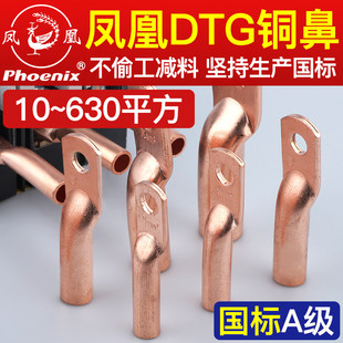 凤凰DTG堵油式接线端子国标加厚铜鼻子管式闭口电线铜接头接线耳