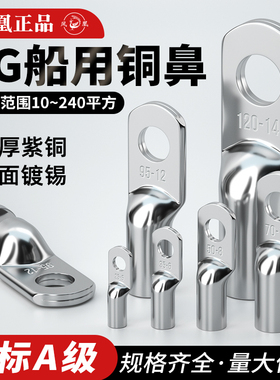 正品凤凰紫铜国标加厚紫铜鼻子10平方铜接线鼻子JG线耳铜接线端子