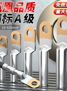凤凰国标A级DTL堵油式铜铝鼻子电线接头加厚接线端子线鼻子线耳