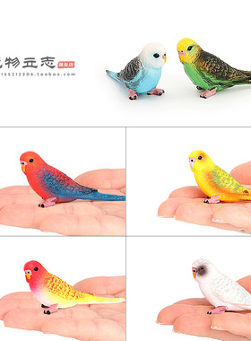 仿真动物小鹦鹉模型 鸟类 蓝色鹦鹉小鸟玩具塑料玩偶花园装饰摆件
