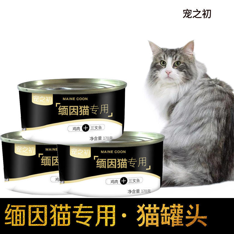宠之初缅因专用罐头成猫