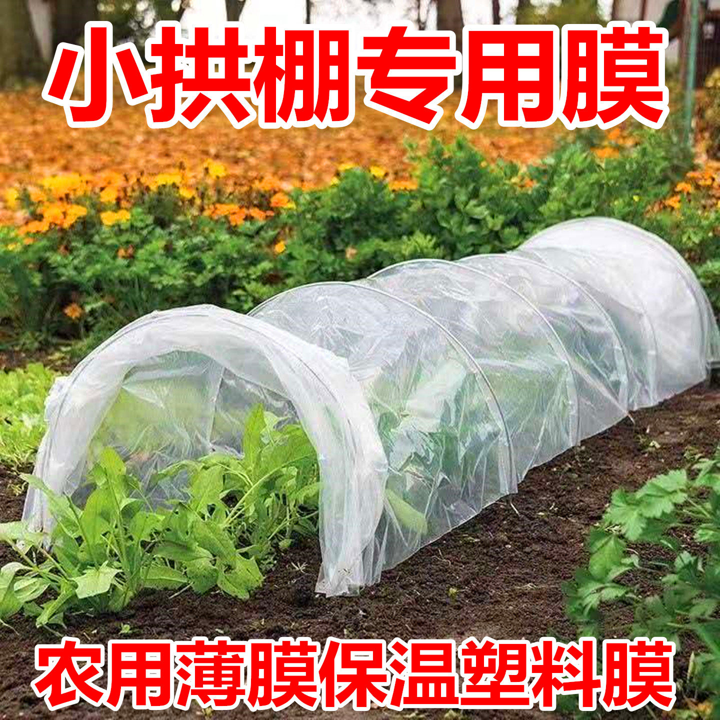 小拱棚膜农用薄膜大棚保温塑料布