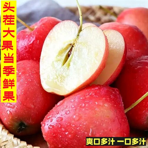 东北当季新鲜整箱鸡心果酸甜