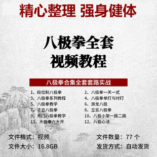 八极拳全套视频教程零基础自学传统武术开门八极拳健身防身教学