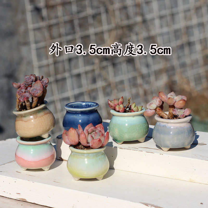 多肉花盆陶瓷创意桌面装饰透气简约冰裂清新彩红小号